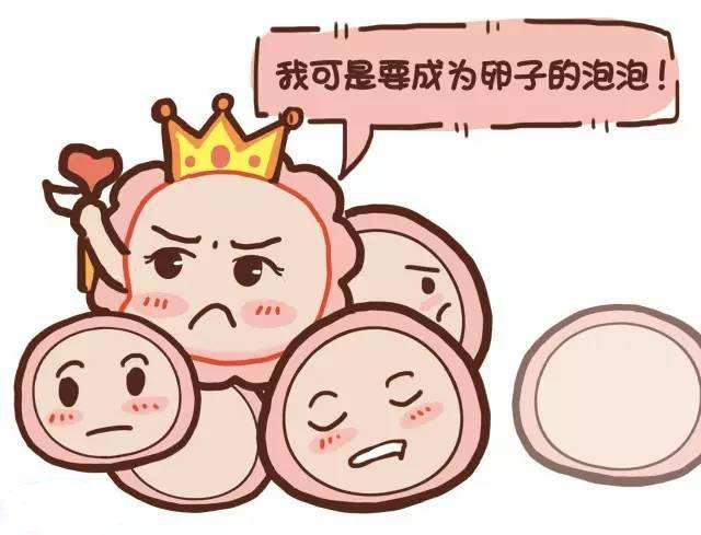 梅州市妇幼保健院供卵试管婴儿指南