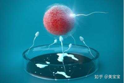 赠卵试管婴儿胚胎不受精会发生什么？赠卵试管婴儿失败的主要原因是什么？