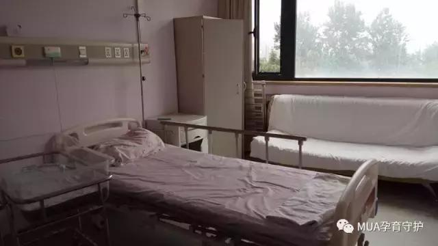 供卵做试管代生代怀胚胎植入后是什么样子的？你有什么妊娠反应吗？