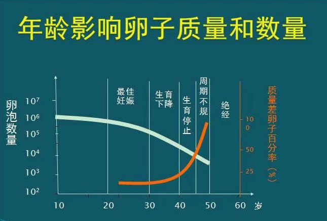 做供卵自怀试管早产的几率高吗？这是真的吗？