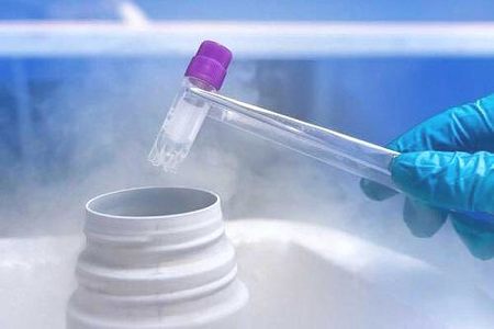 供卵助孕自怀机构都很聪明漂亮吗
