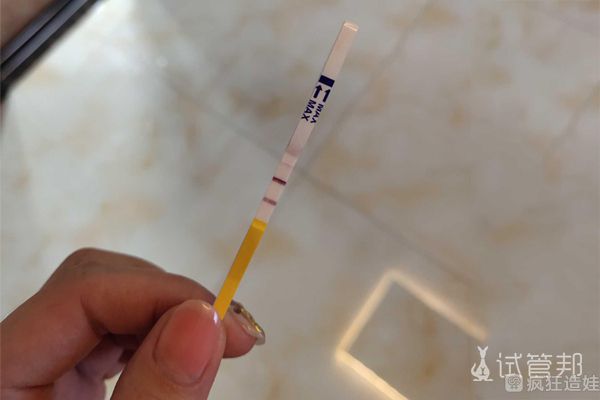 香港浸会医院供卵代怀试管代生移植成功,分享移植注意事项