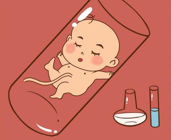 做供卵试管婴儿龙凤胎概率大吗
