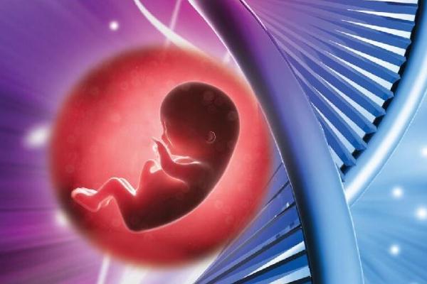 广州妇婴医院和盛京医院哪个试管移植技术好？