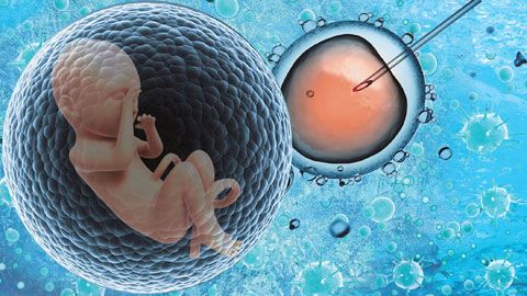 国家卫计委人类精子库官网+广州省人类精子库通过国家卫计委校验评审