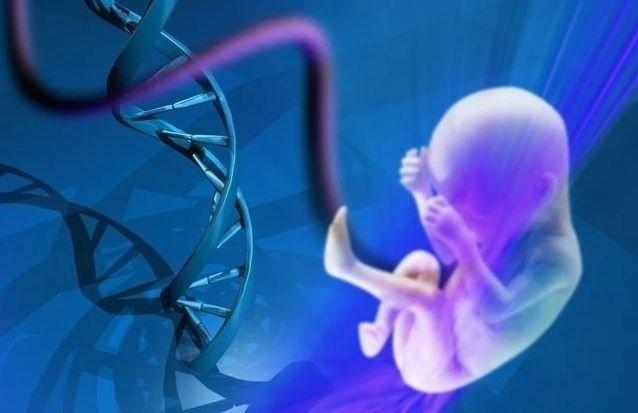 北医三院试管供卵试管代怀电话费用多少？影响北医三院做三代代怀犯法不的因素有哪些？