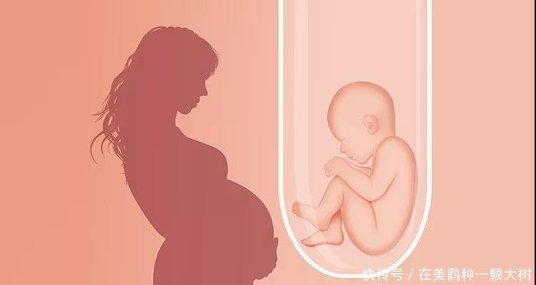 为什么说广州市试管是不孕家庭的最佳选择广州市代怀选男女机构费用贵不贵