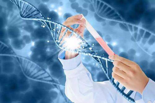 生殖中心介绍新生儿游泳不仅能增强体质还能促进大脑发育