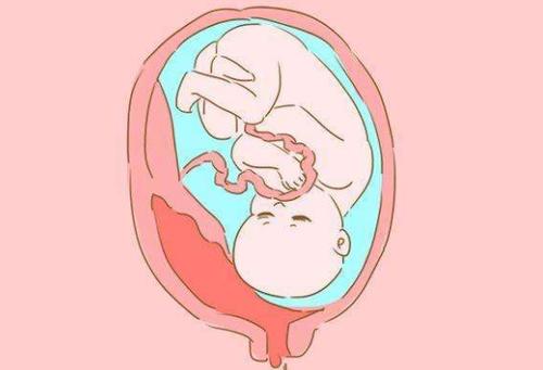 男人精子成活率低能怀男孩吗（精子成活率无关生男生女）