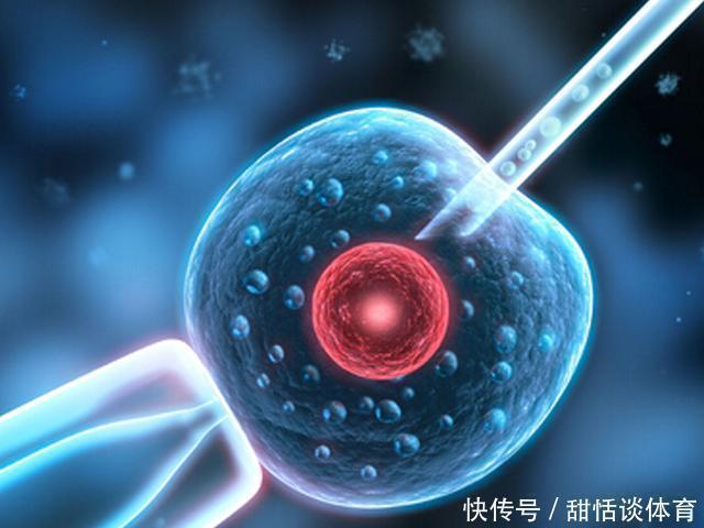 广州将实行AI辅助筛选胚胎!广州哪里只试管代怀不结婚婴儿好