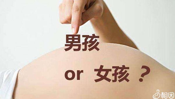 第四代试管的流程与费用