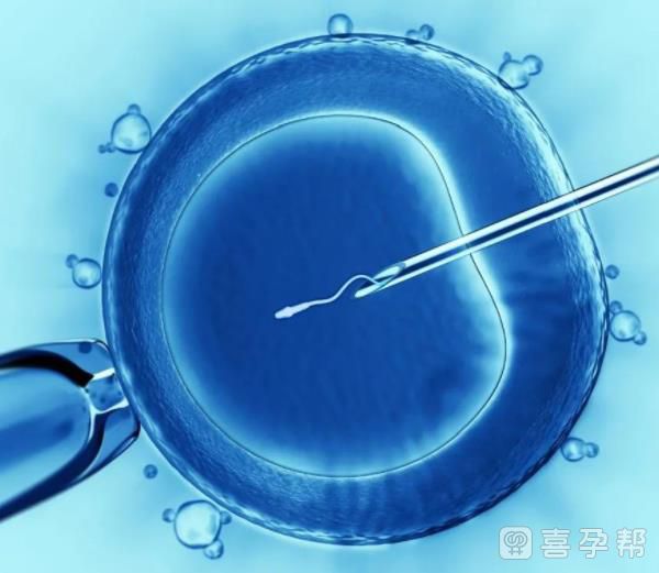 趁年轻赶紧做!35岁三代供卵试管男孩婴儿成功率多少看完便知