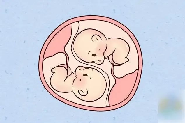 B超查出子宫腺肌症影响试管着床吗