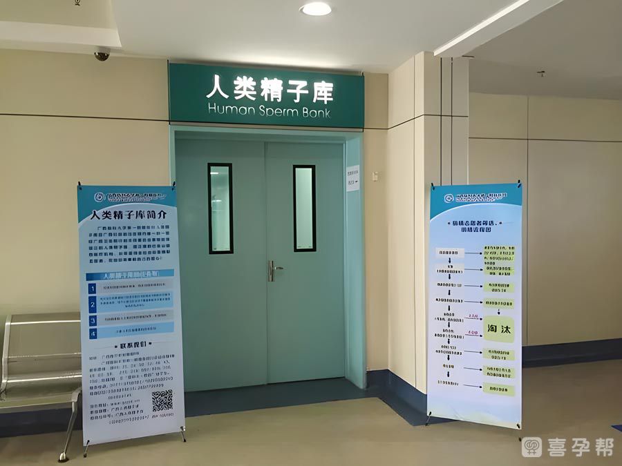 代生正规机构流褐色分泌物正常吗（代生三代供卵选性别着床后有白带正常吗）