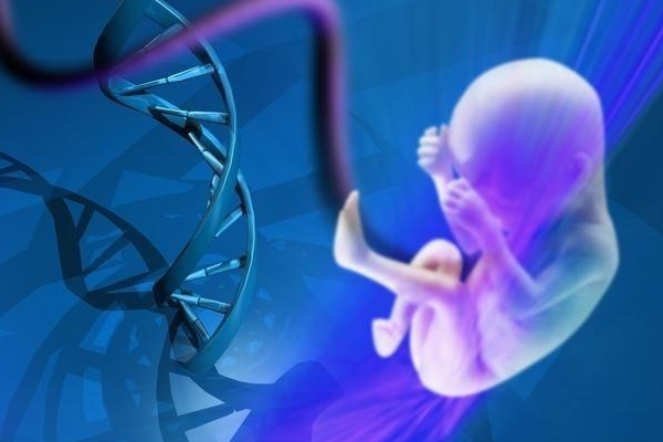 孕产-广州军区总医院二代试管比一代贵多少